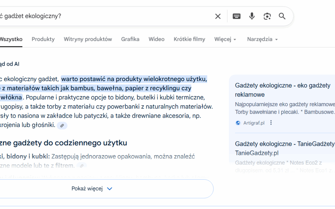 Google AI Overviews – co to jest, jak działa i jak wpłynie na Twoją widoczność?
